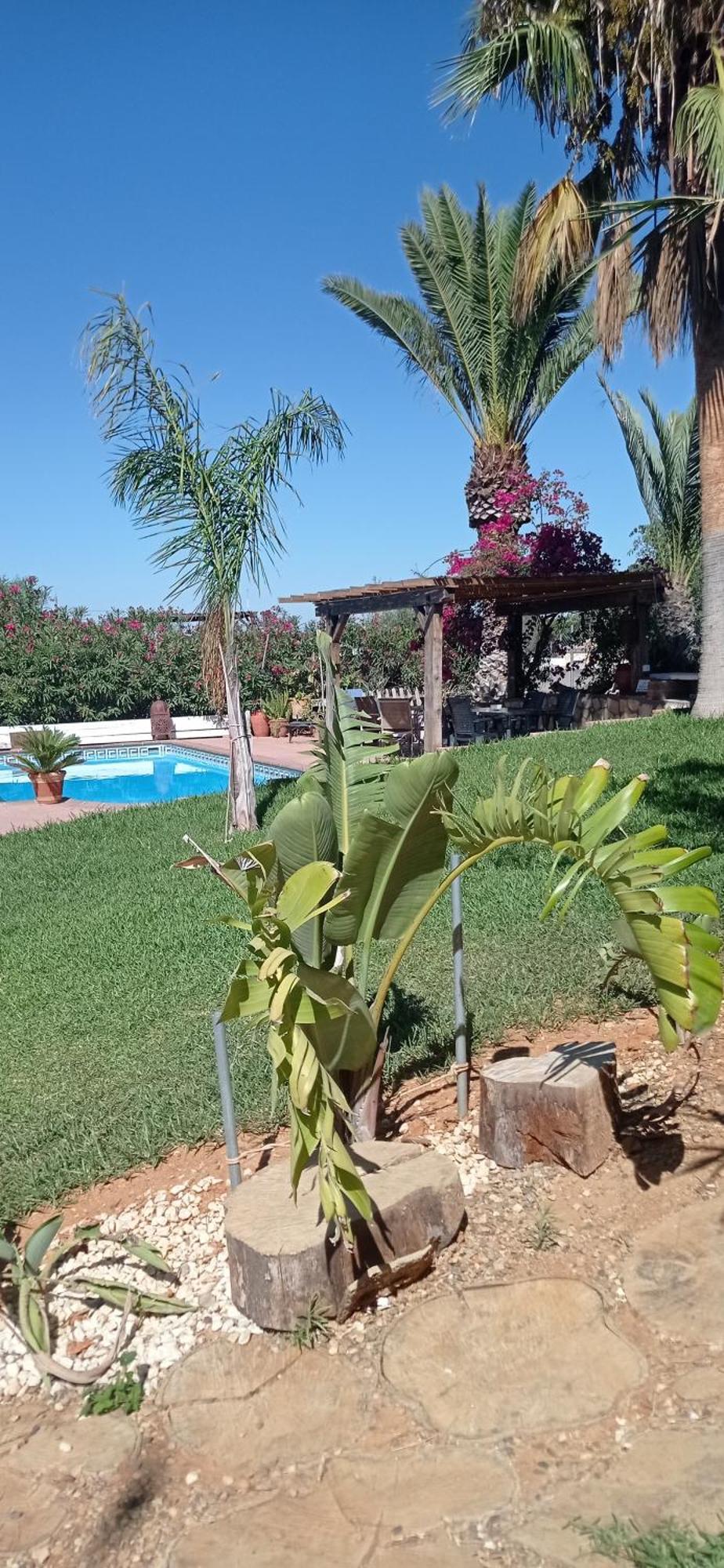 Affittacamere La Luciérnaga Chiclana de la Frontera Esterno foto