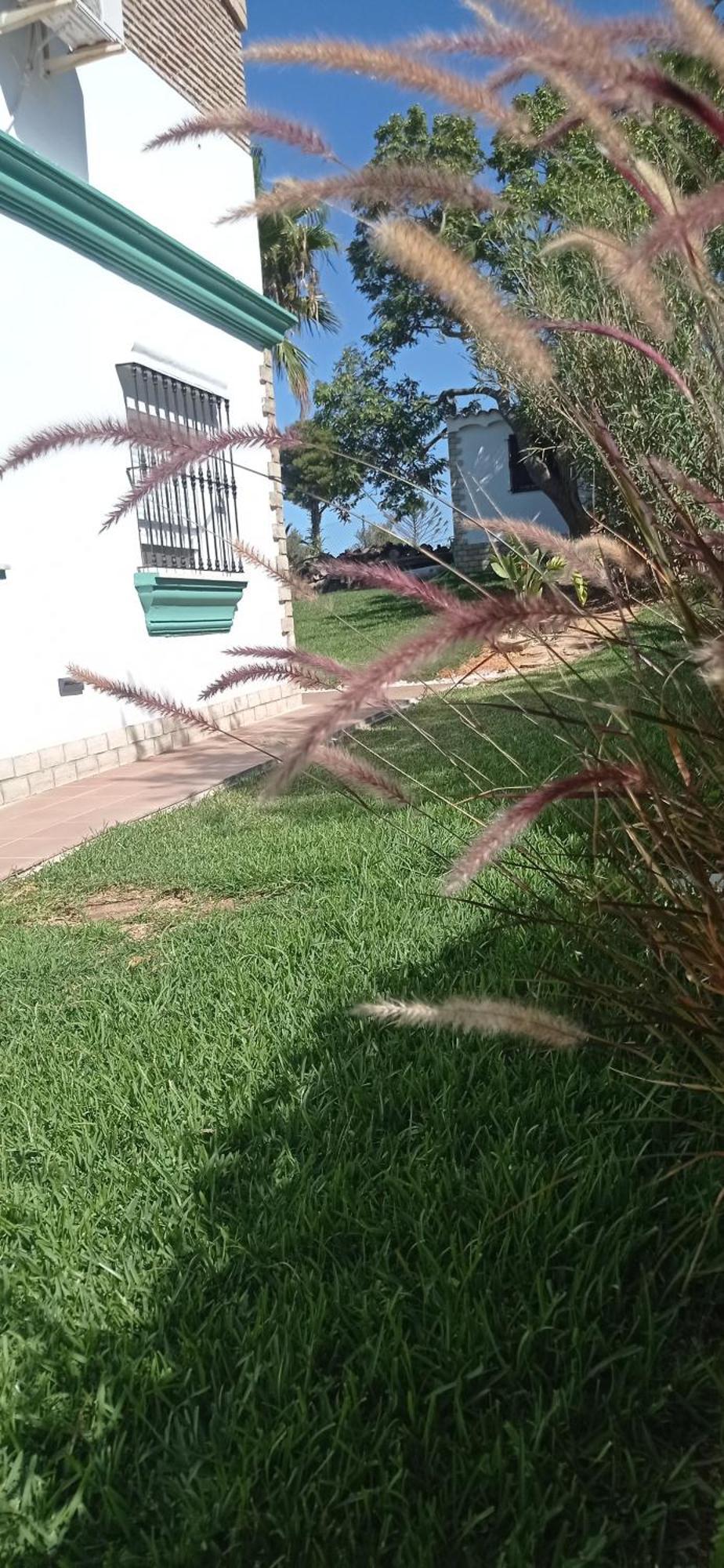 Affittacamere La Luciérnaga Chiclana de la Frontera Esterno foto
